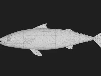 Mackerel Low-poly 3D model