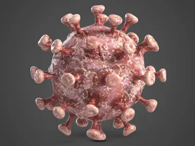 Coronavirus 2 COVID-19 3D model
