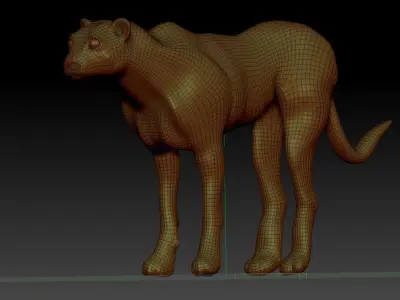 cheetah Free 3D model