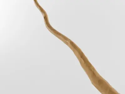 Wooden Stick Branch Staff Low Poly Game Ready asset Low-poly 3D model
