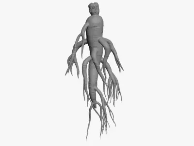 Ginseng for 3D Print 3D model