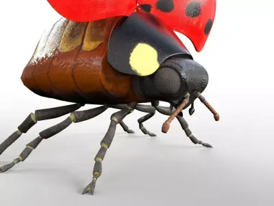 Ladybug insect Low-poly 3D model