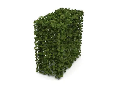 Hedge 1m x 1m 3D model