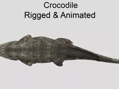 Crocodile Realistic Animated Low-poly 3D model