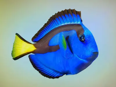 Fish Paracanthurus hepatus Low-poly 3D model