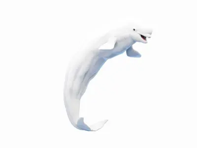 Marine Collection Animated 3D model