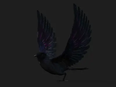 Raven A3 3D model