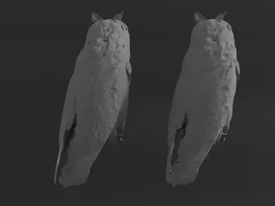 Photorealistic Long Eared Owl Low-poly 3D model