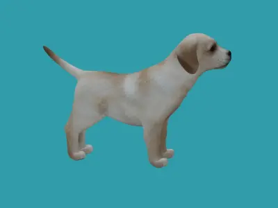 lowpoly dog 3dmodel 3D model
