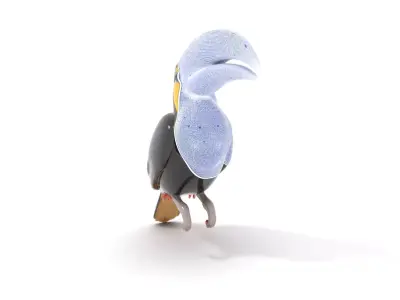Colorful Toucan model pack Low-poly 3D model