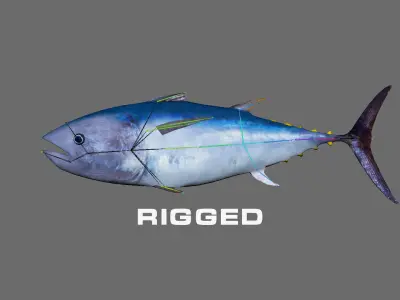 Low-Poly Tuna Animated Free low-poly 3D model