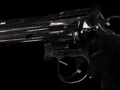 Revolver Anaconda - Western Gun 3D model