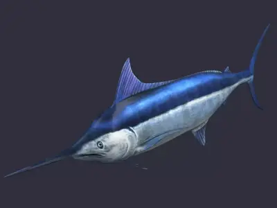 swordfish marlin ocean sea fish swim fast 3D model