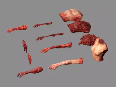 Horror Assets Human Corpse Body Part Collection X6 Pack 3D Model Low-poly 3D model