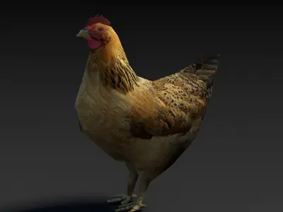 Low Poly Hen rooster Low-poly 3D model