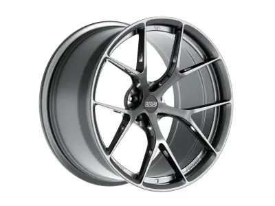 BBS FIR Low-poly 3D model