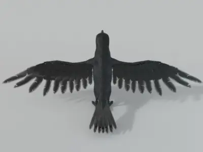 Crow bird Low-poly 3D model