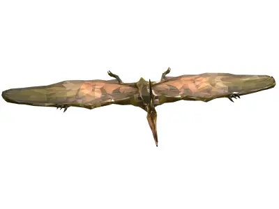 Dinosaur Pteranodon LowPoly Art Low-poly 3D model