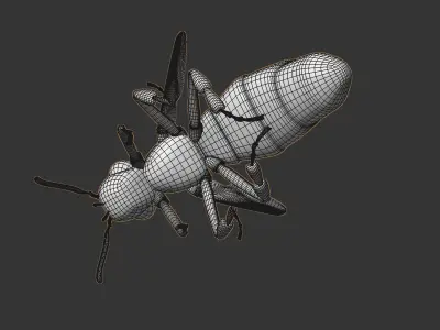 flying bee 3D model