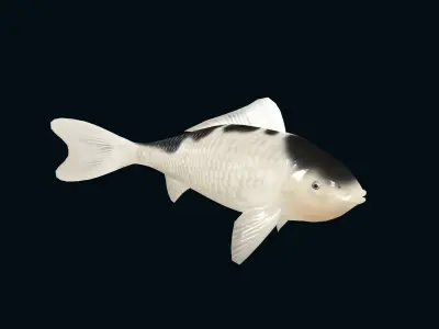 animated carp fish koi Low-poly 3D model