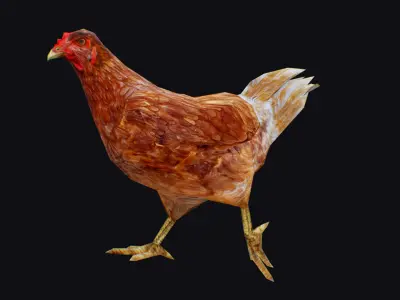 Chicken Roaster Farm Bird Animated Animal Village Birds Poultry Low-poly 3D model