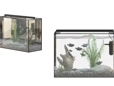 Fish Gourami Aquarium 70x30 3D model