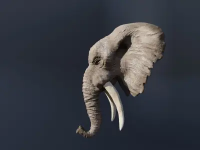 Elephant 3D head with tusks Free 3D model