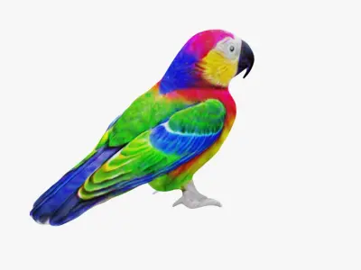 Parrot Free 3D model