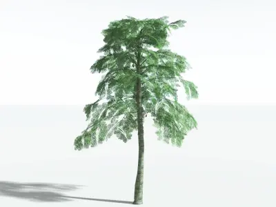 EVERYPlant Alethopteris Seed Fern LowPoly 3 --12 Models-- Low-poly 3D model