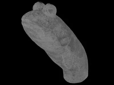 Mudskipper Sculpture 3D model