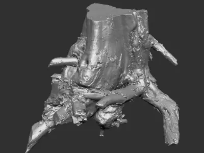 3d scan of tree root in highpoly 3D model
