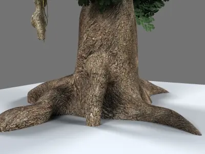 Baya Weaver Nest 3D model