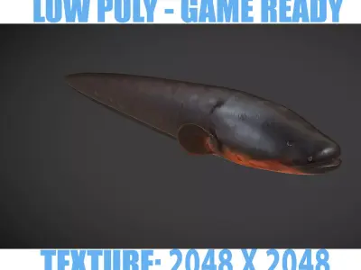 Electric Eel Low-poly 3D model