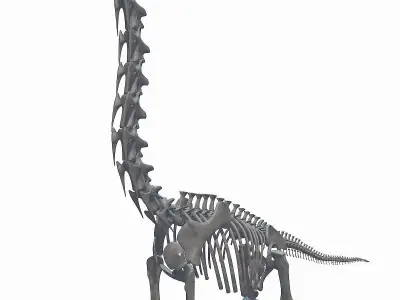 Brachiosaurus Skeleton 3D model Low-poly 3D model