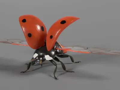 Ladybug Animated 3D model