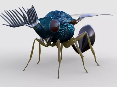 Eucharitidae 3d model rigged Apocrita Low-poly 3D model