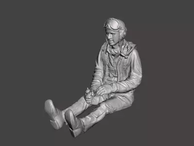 WWII USAF P-51 Mustang pilot 3D print model