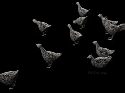 Chicken Ranch - Rooster and 9 Posed Hens - Black -  3D model