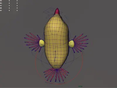 bird animation  Low-poly 3D model