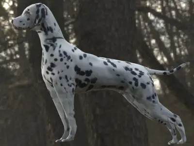 GAME-READY DOG dalmatian Low-poly 3D model