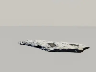 Fossil Whale Bones Scanned 3d Model 3D model