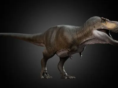 Tyrannosaurus rex Low-poly 3D model