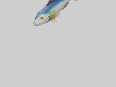 Tilefish statue model Low-poly 3D model