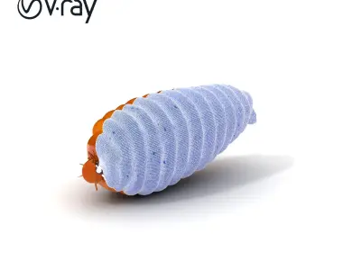 Realistic Insect Larva Model Pack for Animation and Games Low-poly 3D model