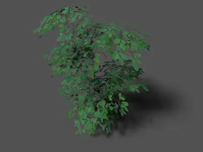 low poly forest tree 1 Low-poly 3D model