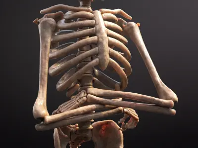 Cartoon Skeleton Rigged1 3D model