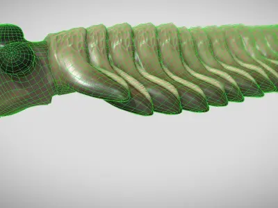 Opabinia Low-poly 3D model