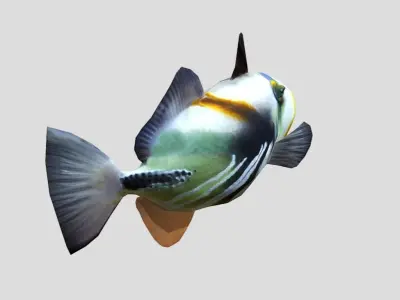 Picasso Triggerfish Realistic Animated Low-poly 3D model