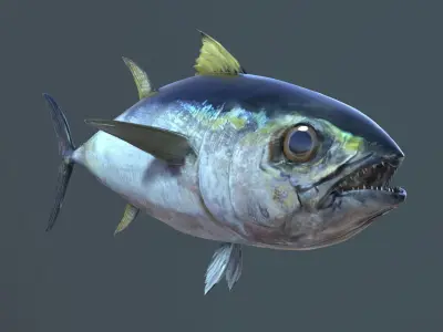 Tuna Fish Low-poly 3D model