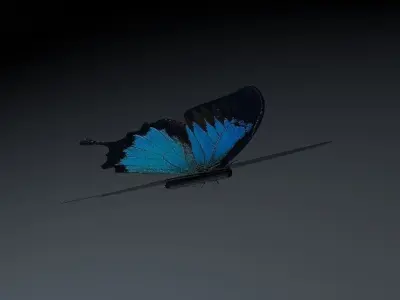 Blue Butterfly Low-poly 3D model